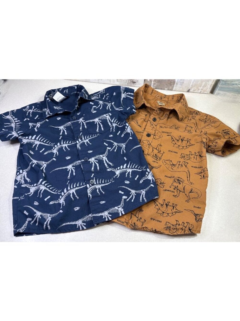 Toddler Boys Dinosaur Shirts (2) Cotton Button Down Size 5